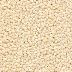 Roasted Sesame Seeds Exporters