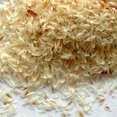 Psyllium Seeds From India