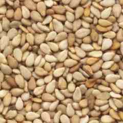 Toasted Sesame Seed